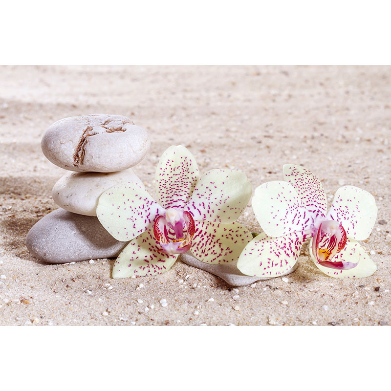 Tapet Zen Balance Dimex