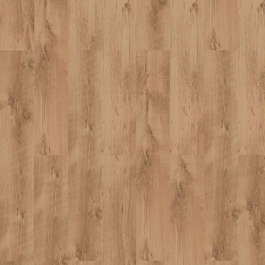 Laminatgolv Sessile Oak