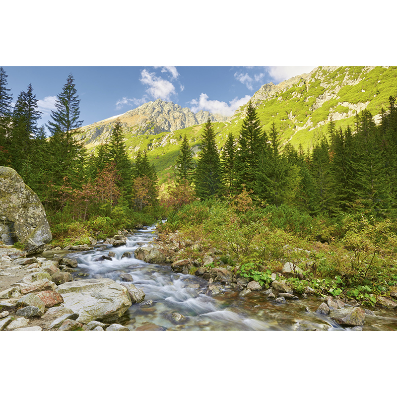Tapet Valley Dimex