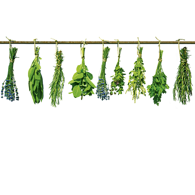 Tapet Herbs Dimex