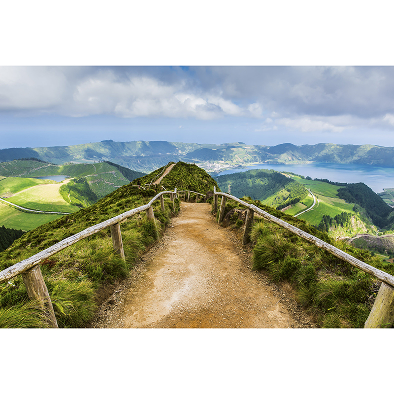 Tapet Walking Path Dimex