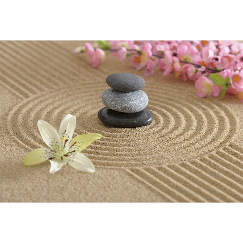 Tapet Zen Garden Dimex