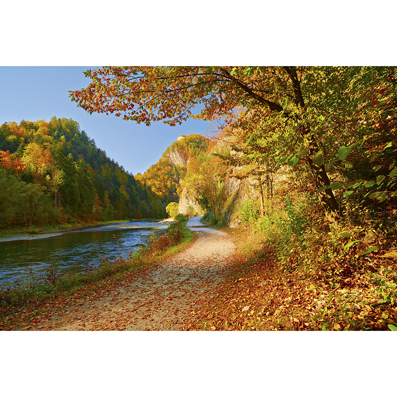 Tapet Dunajec River Dimex