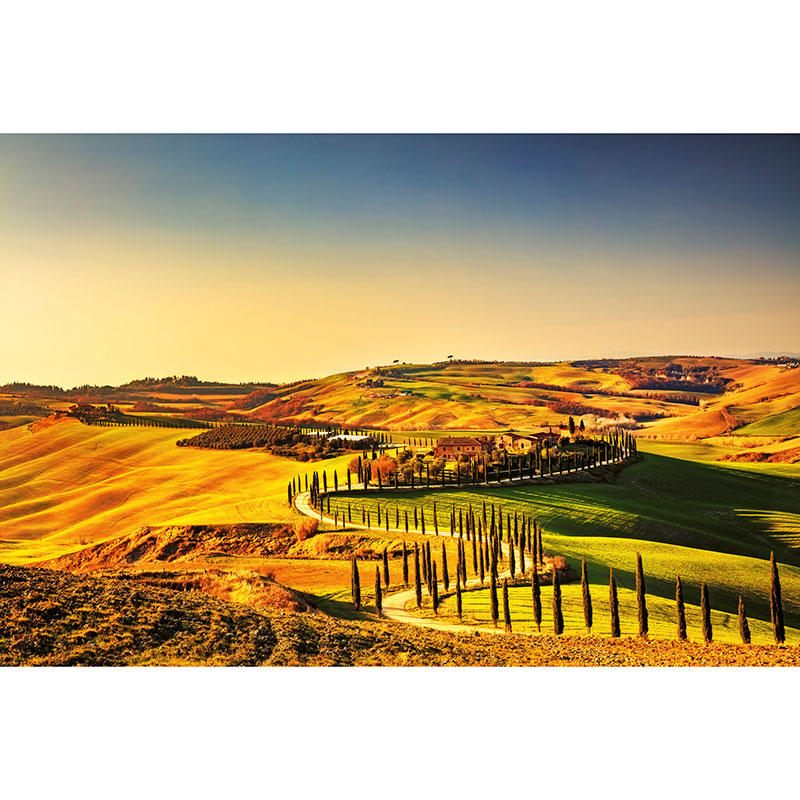 Tapet Tuscany Dimex