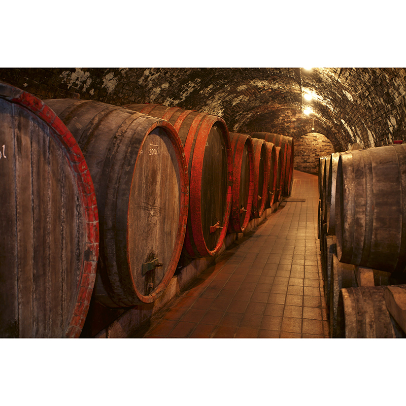Tapet Wine Barrels Dimex