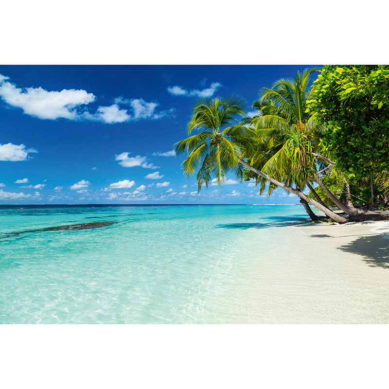 Tapet Paradise Beach Dimex