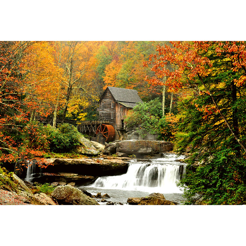 Tapet Grist Mill Dimex