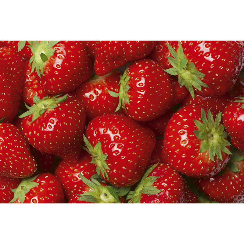 Tapet Strawberry Dimex
