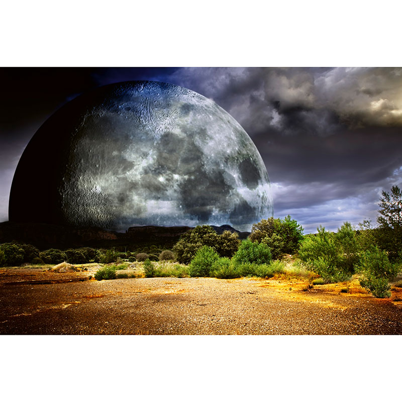 Tapet Moon Dimex
