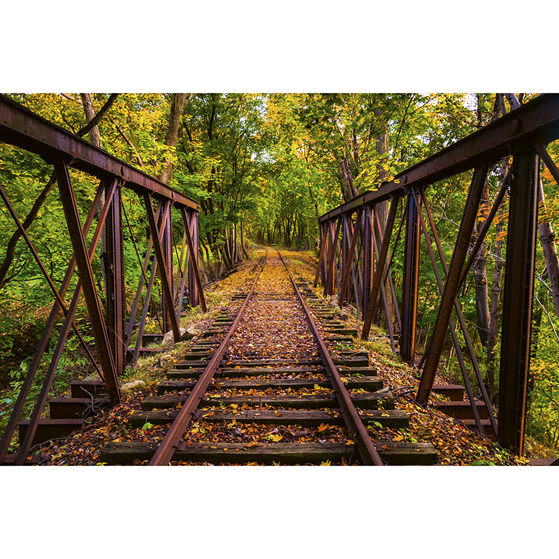 Tapet Railroad Dimex