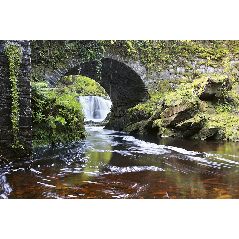 Tapet Ireland Dimex