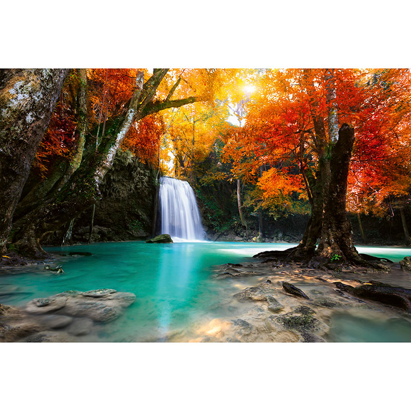 Tapet Deep Forest Waterfall Dimex