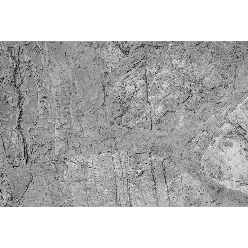 Tapet Concrete Dimex