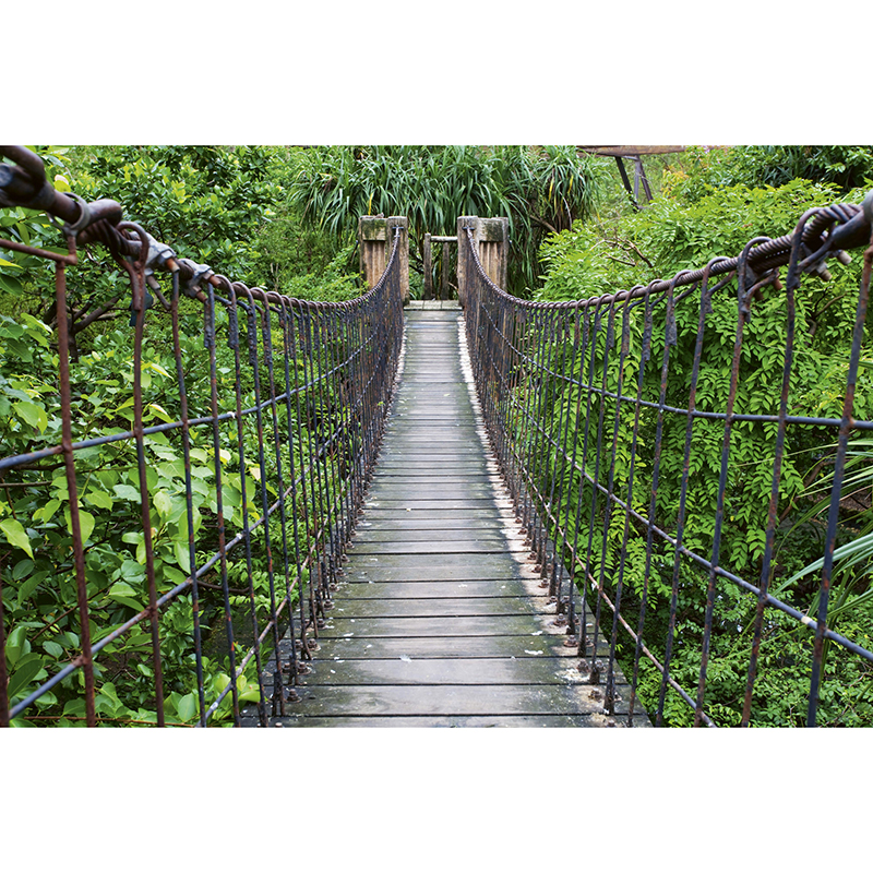 Tapet Footbridge Dimex