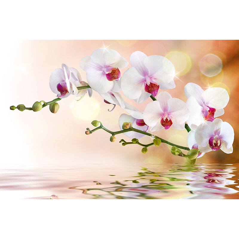 Tapet White Orchid Dimex