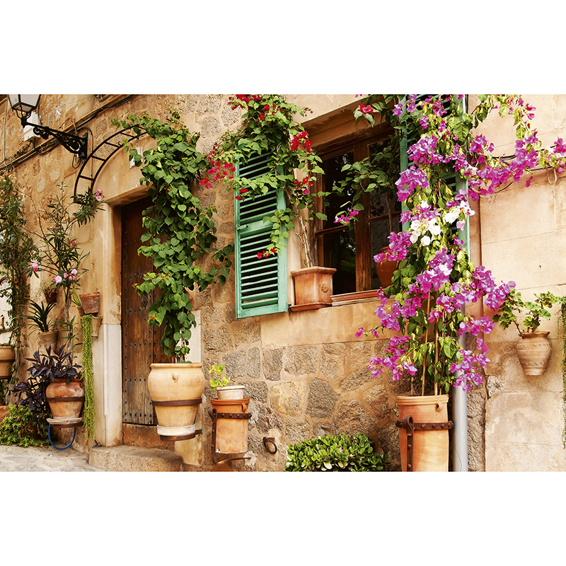 Tapet Street Garden Dimex