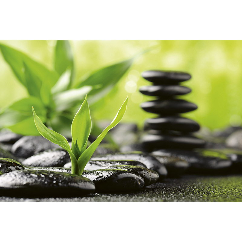 Tapet Zen Stones Dimex